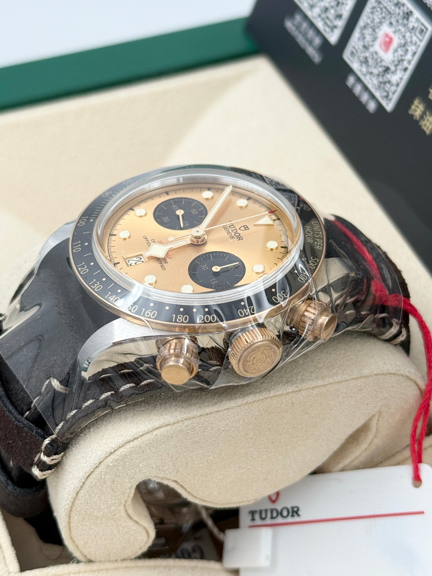 全新 NEW TUDOR 帝舵 BLACK BAY 79363N 2024年