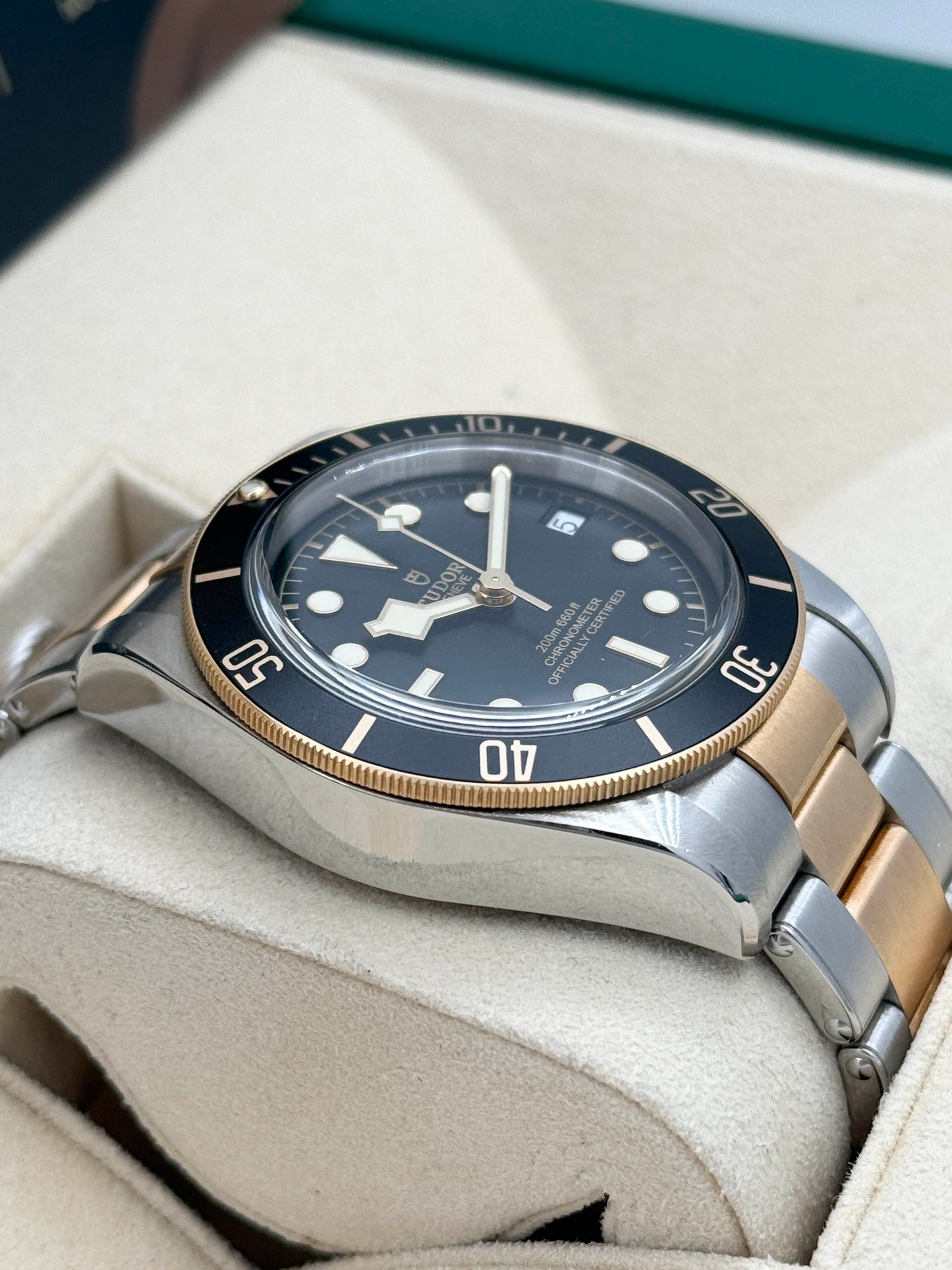 TUDOR 帝舵 BLACK BAY S&G M79733N 2021年