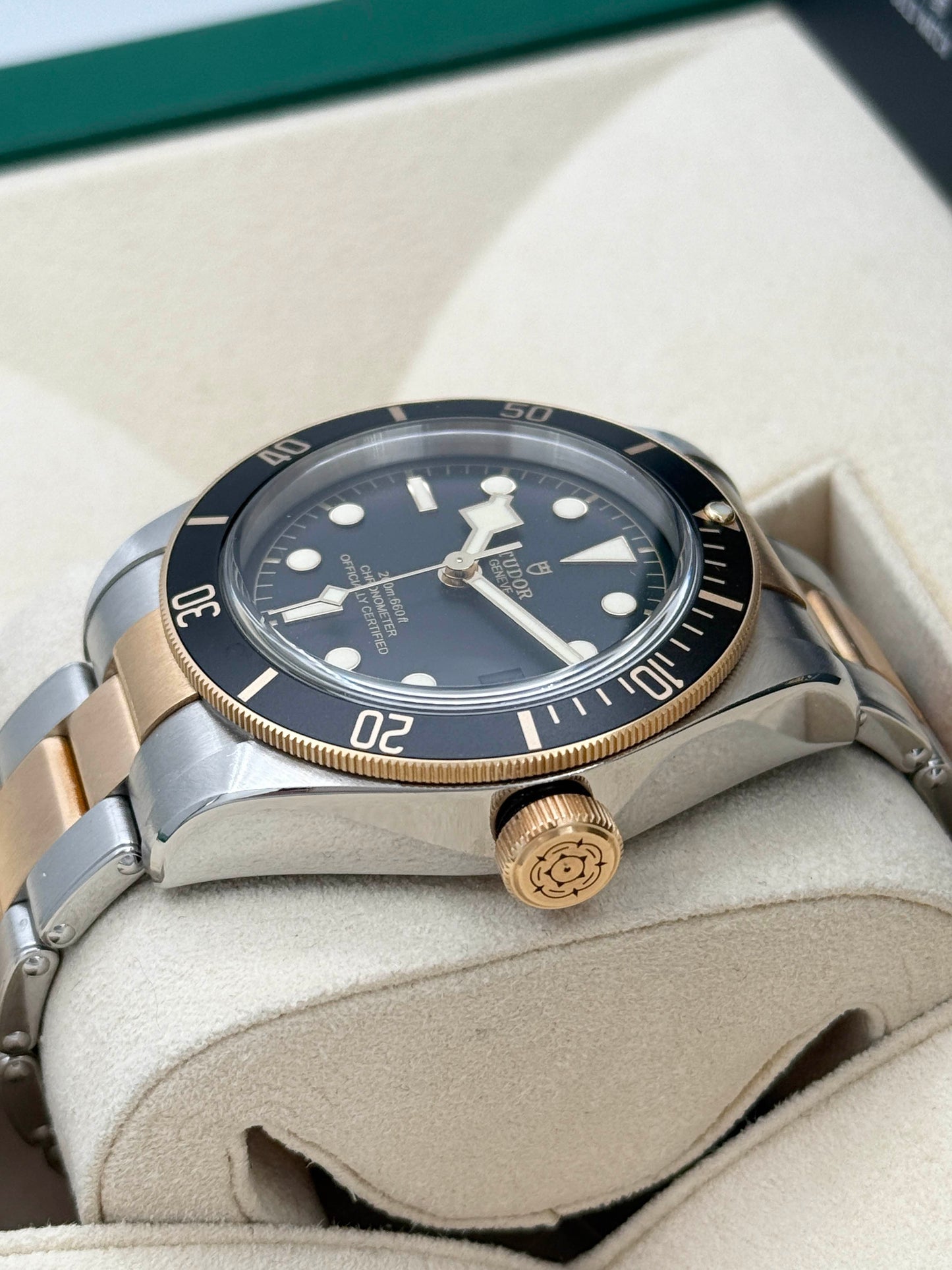 TUDOR 帝舵 BLACK BAY S&G M79733N 2021年