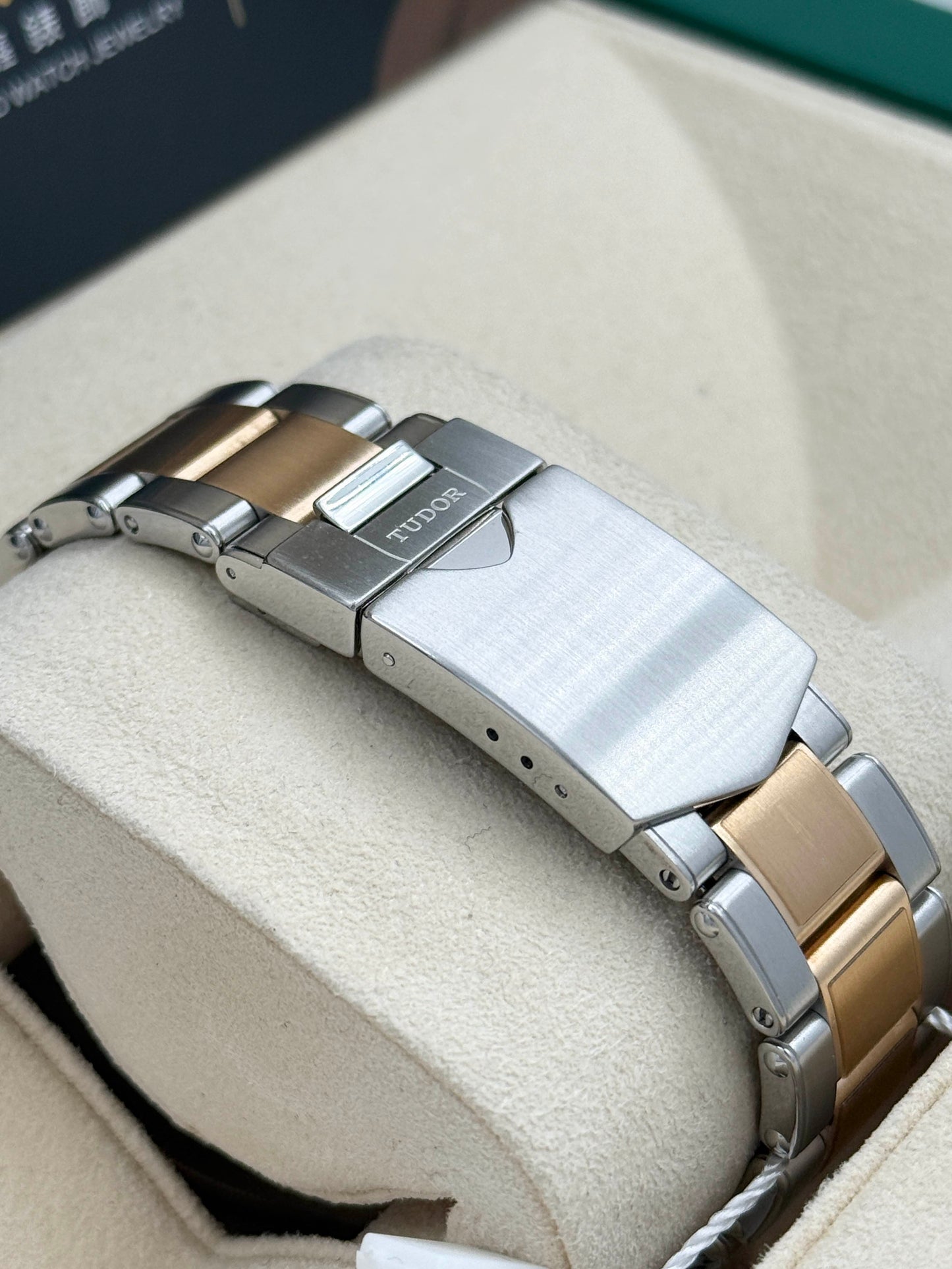 TUDOR 帝舵 BLACK BAY S&G M79733N 2021年