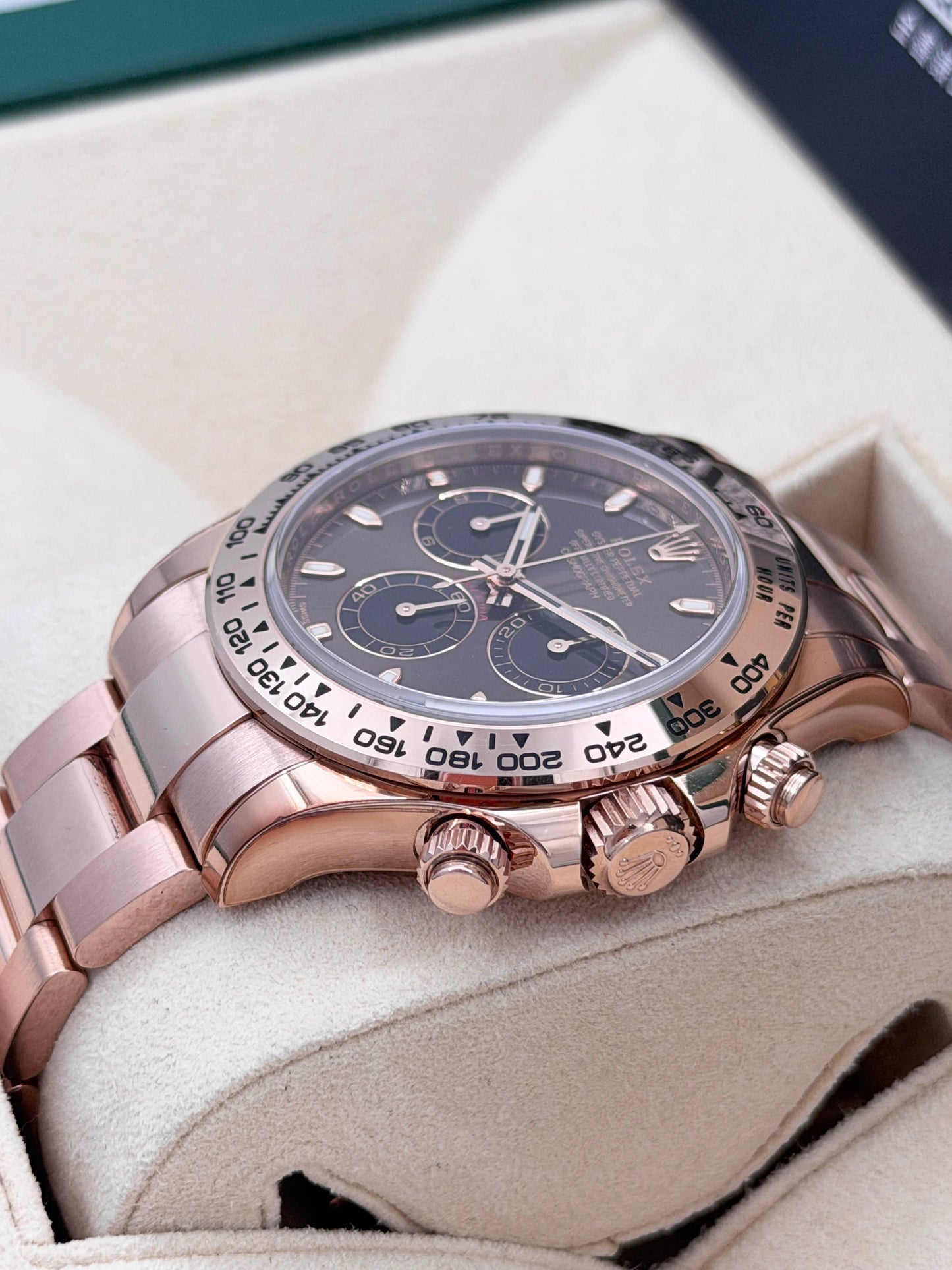 ROLEX 勞力士 DAYTONA 116505 朱古力面 2020年