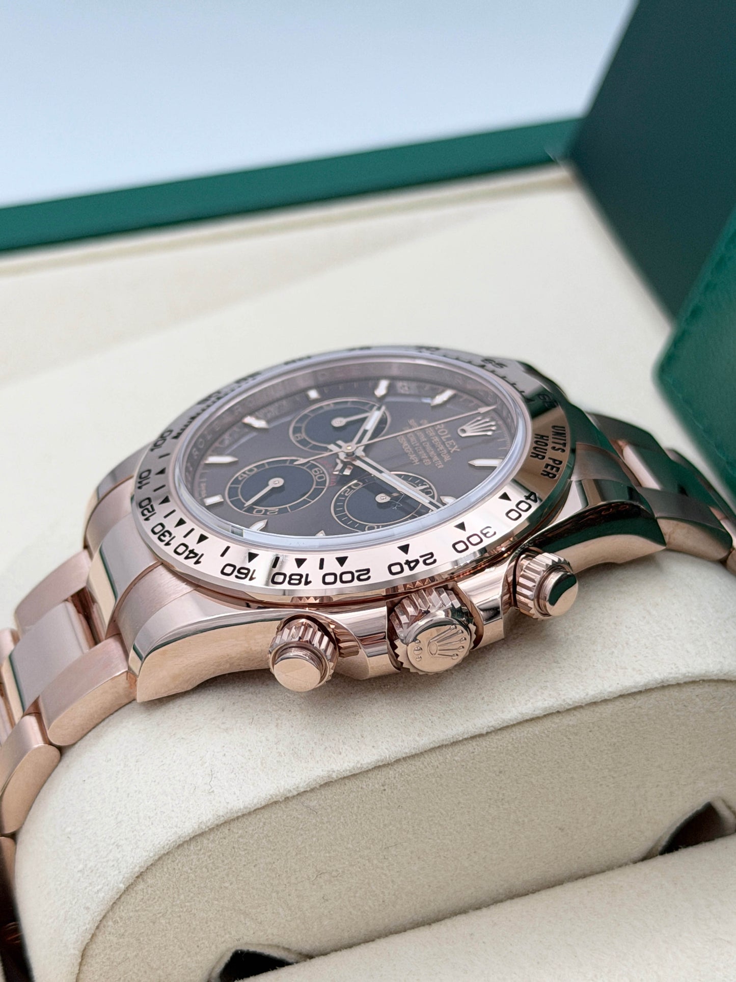 全新 NEW ROLEX 勞力士 DAYTONA 126505 朱古力面 2025年