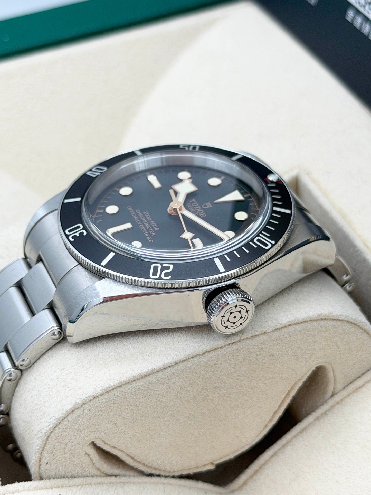 TUDOR 帝舵 BLACK BAY 79230N 黑色面 2021年