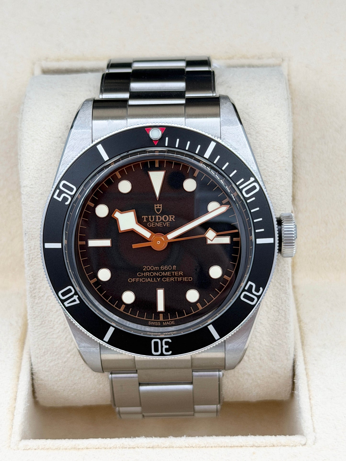 TUDOR 帝舵 BLACK BAY 79230N 黑色面 2021年