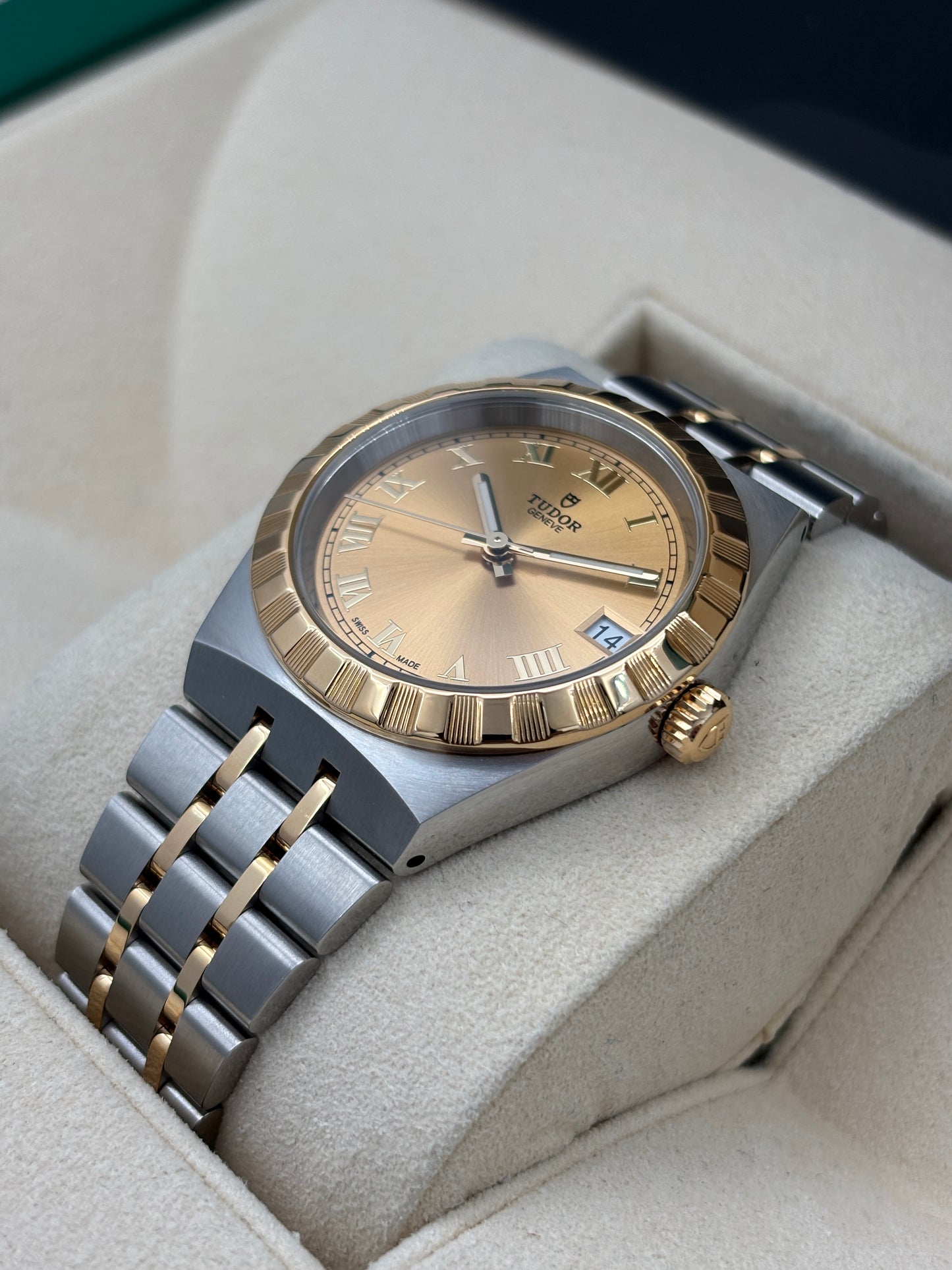 全新 NEW  TUDOR 帝舵 TUDOR ROYAL 28403 金色 2026年5月 全套 FULL SET