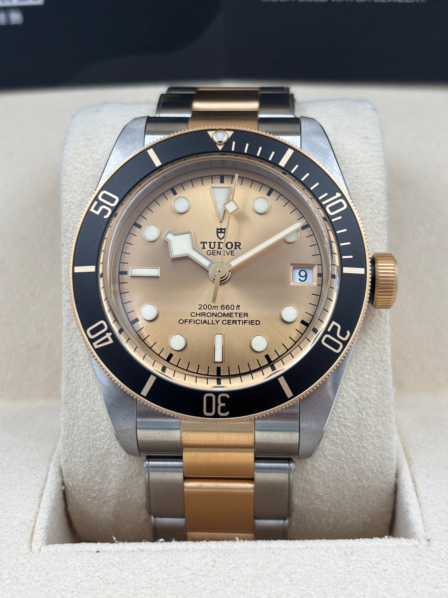 全新 NEW  TUDOR 帝舵 BLACK BAY S&amp;G M79733N 金色 2026年5月 全套 FULL SET