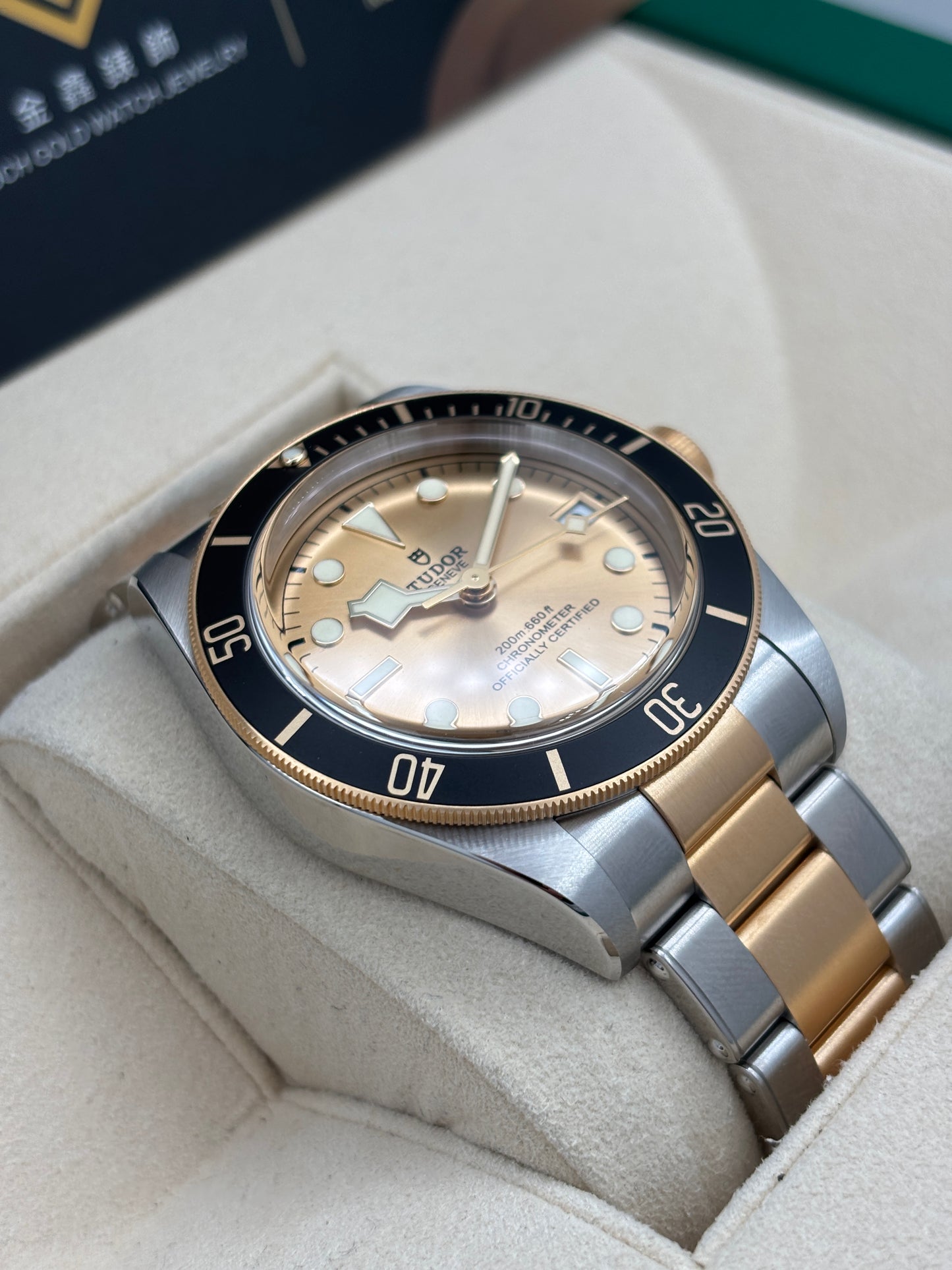 全新 NEW  TUDOR 帝舵 BLACK BAY S&amp;G M79733N 金色 2026年5月 全套 FULL SET
