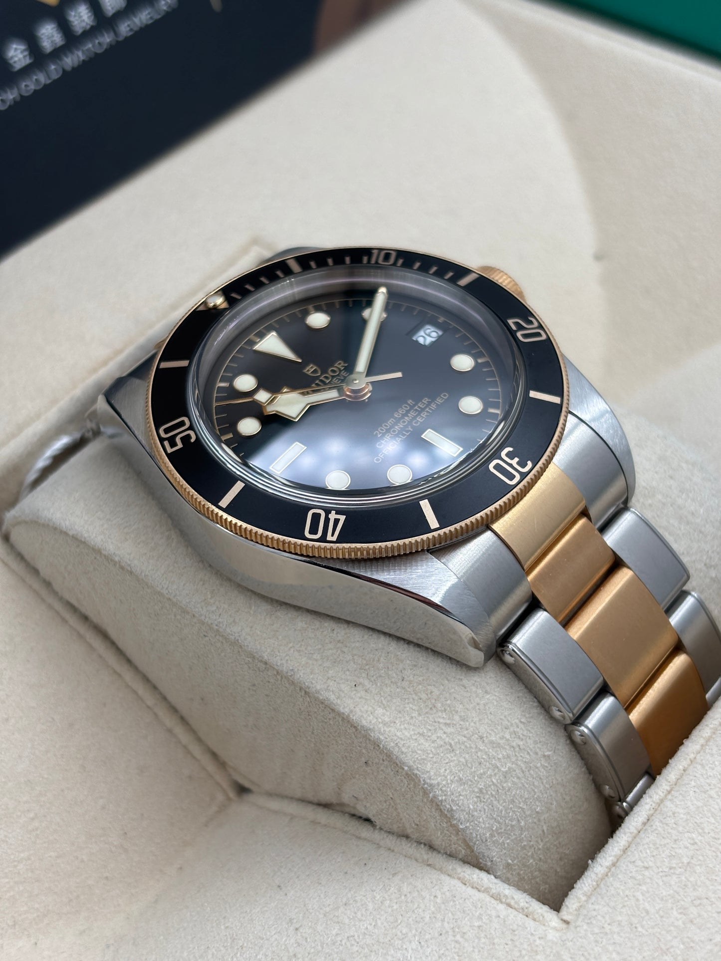 二手 USED  TUDOR 帝舵 BLACK BAY S&G 79733N 黑色 2019年12月 全套 FULL SET