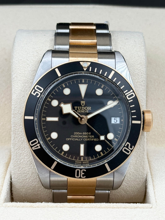 TUDOR 帝舵 BLACK BAY S&G M79733N 2021年