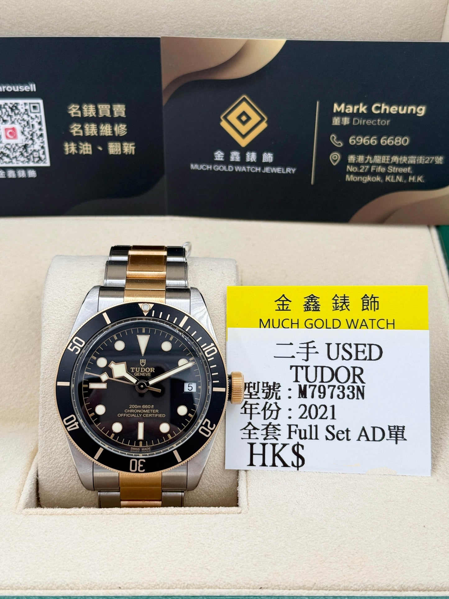 TUDOR 帝舵 BLACK BAY S&G M79733N 2021年